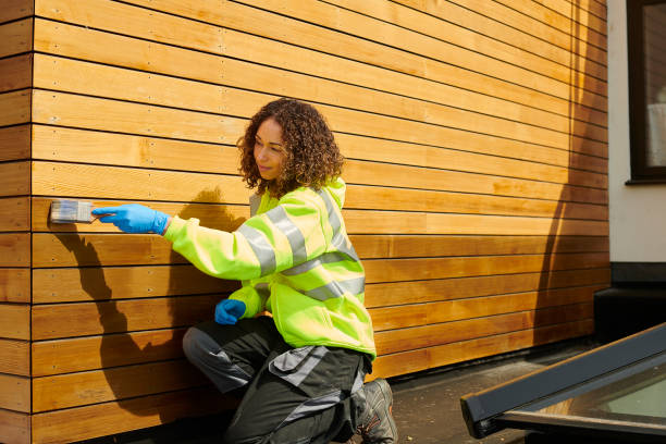 Best Siding Painting and Refinishing  in Ottumwa, IA